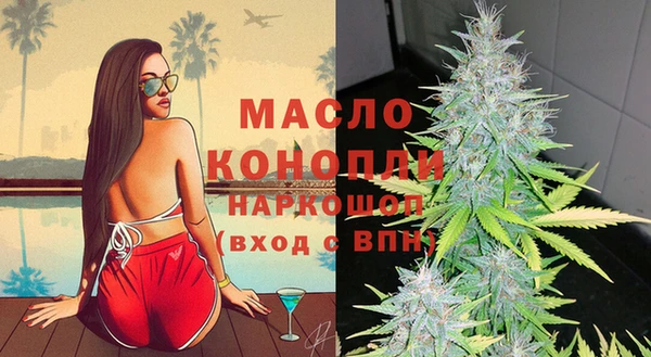 МДПВ Вяземский