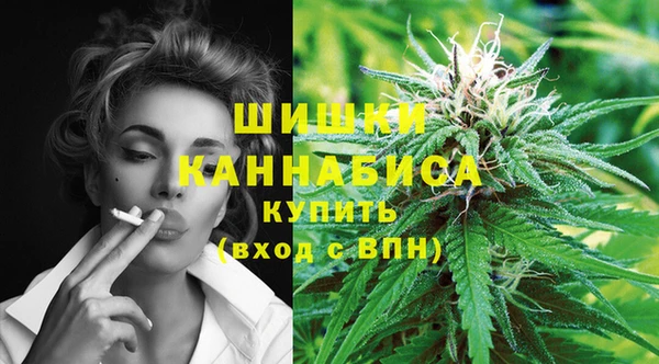 МДПВ Вяземский
