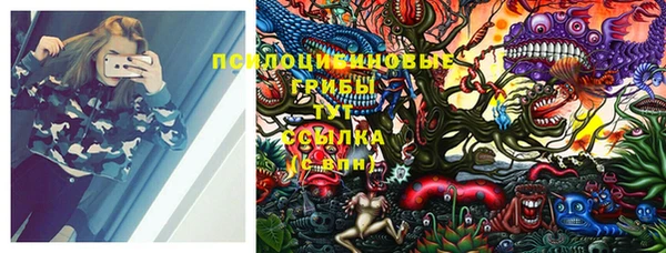 МДПВ Вяземский