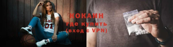 твердый Вязьма