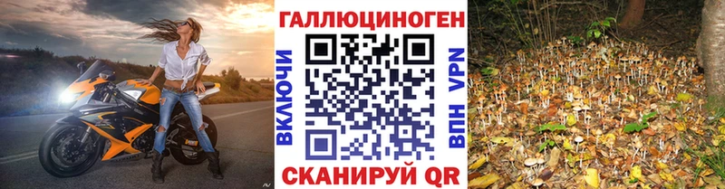 Галлюциногенные грибы Cubensis Таганрог
